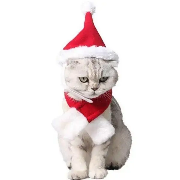 Chapeau Noël Chat en Tissu Doux Festif
