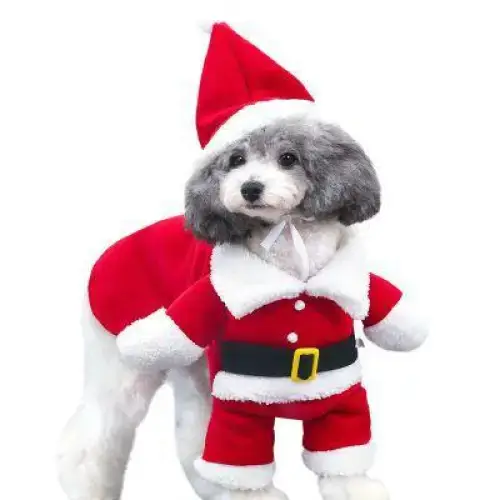 Déguisement Père Noël Chien avec Bonnet