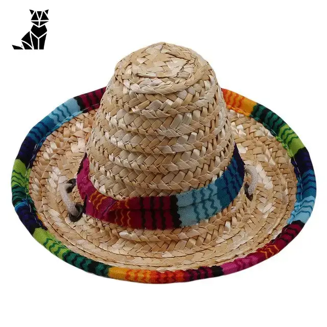 Chapeau Sombrero Chat Costume Mexicain Festif