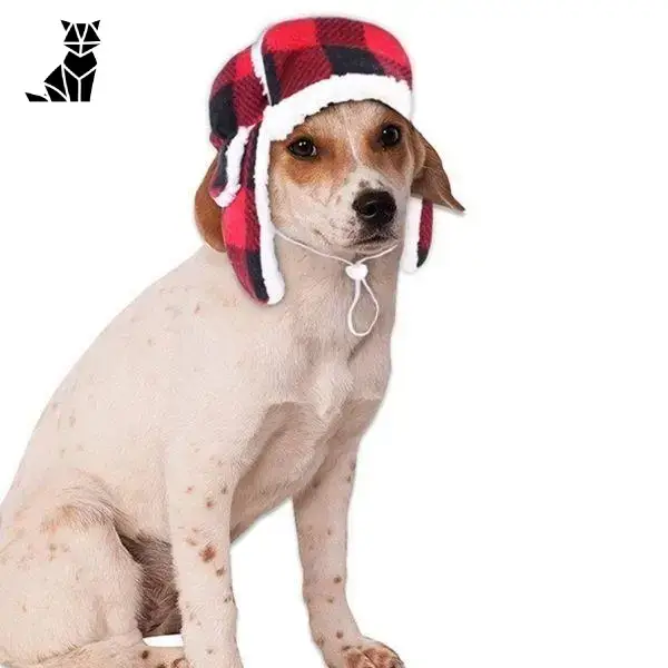 Chapeau Chien Grand Format Chapka Carreaux