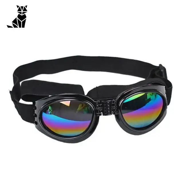 Chapeau et Lunettes Chien Style Motard