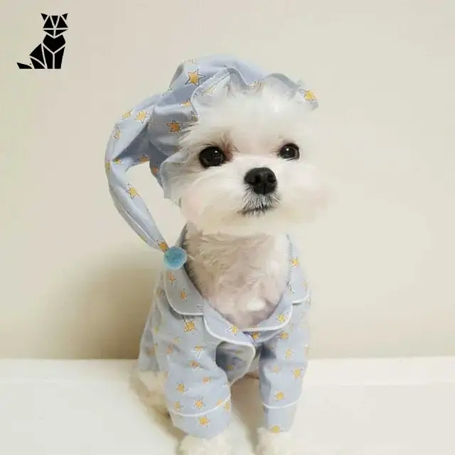 Chapeau Chien Tissu Doux Confortable