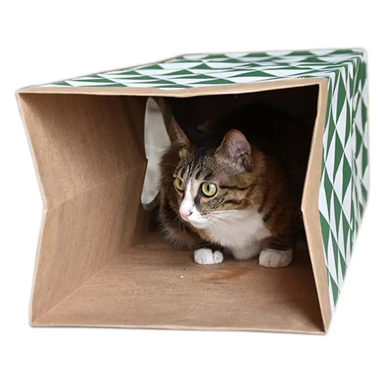Tunnel en Carton pour Chat - Pliable Papier Kraft