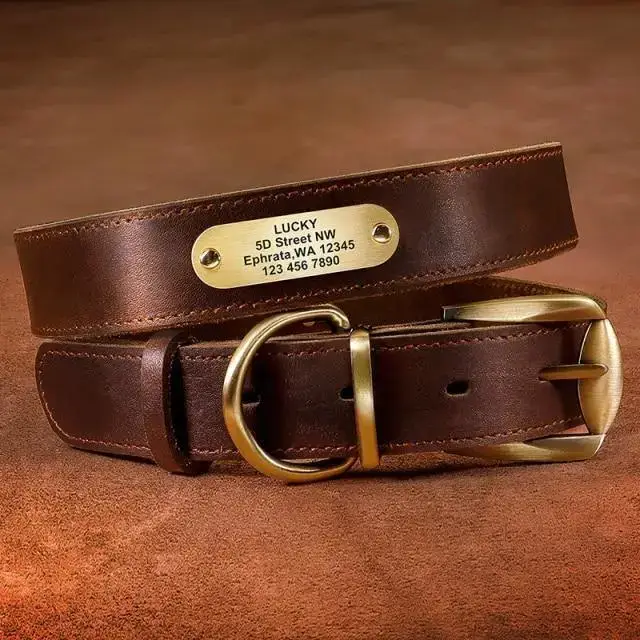 Collier Chien avec Nom Gravé Cuir Ajustable