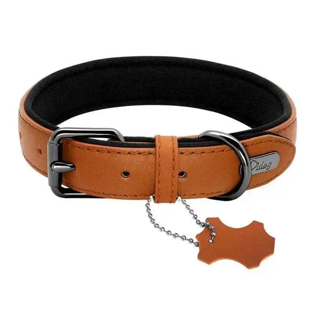 Collier Cuir Chien Confortable Personnalisable