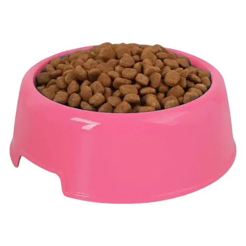Gamelle Inox Inclinée Antidérapante Chien Chat