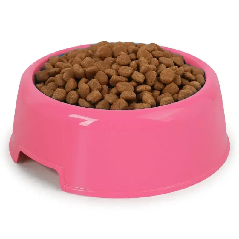 Gamelle Inox Inclinée Antidérapante Chien Chat