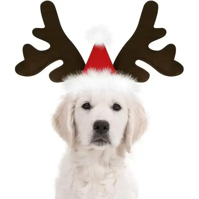 Déguisement Renne Chien Chapeau Noël Léger