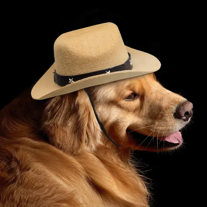 Chapeau Cowboy Chien Style Texan Original