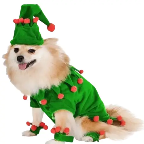Bonnet Chien Noël avec Costume Lutin Festif