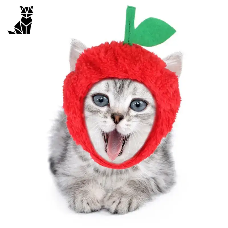Bob Tomate Chat Déguisement Mignon
