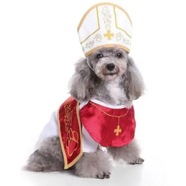 Chapeau Pape pour Chien Tissu Doux Déguisement