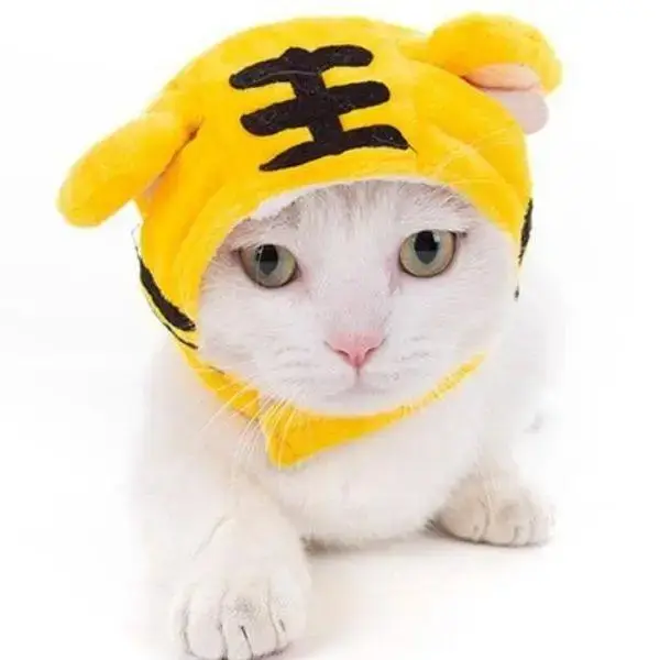 Bonnet Chat Tricot Motif Tigre Adorable