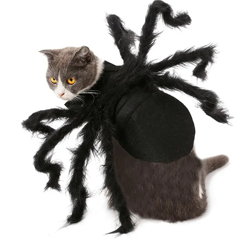 Déguisement pour Chat Halloween
