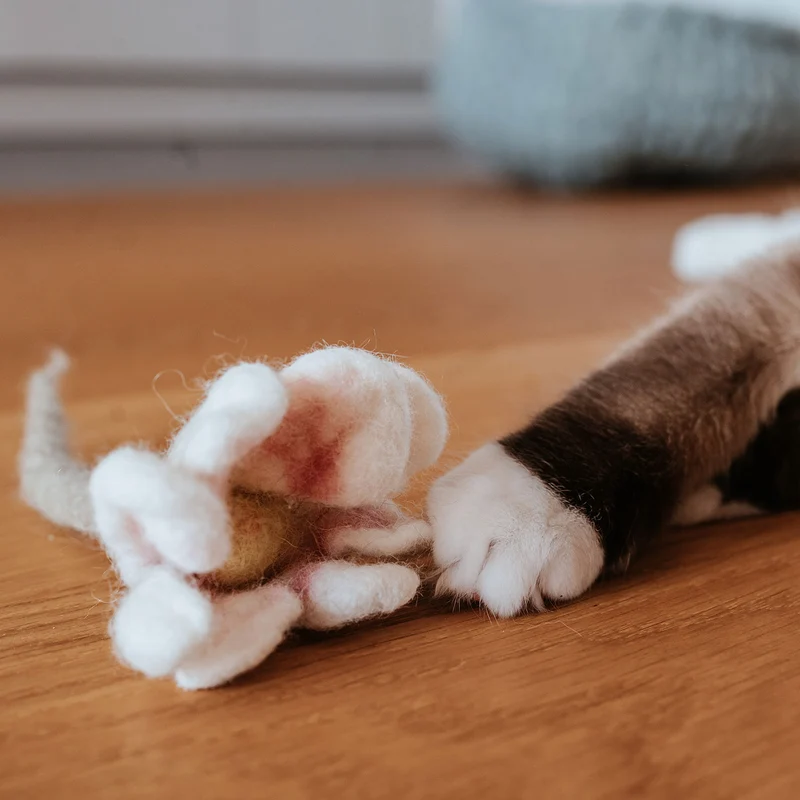 Katzenspielzeug Gundula Gänseblümchen