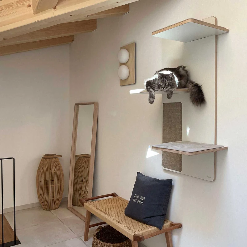 Kratzwand Relex 3 Liegeflächen