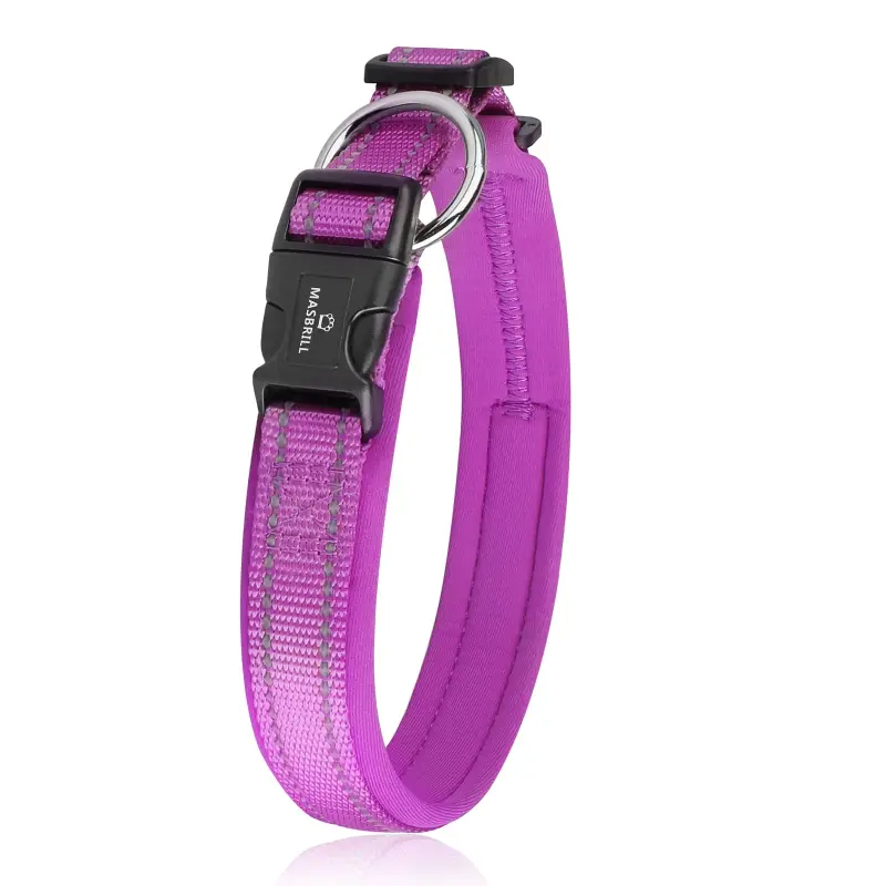 Collier pour Berger Australien Confortable Nylon