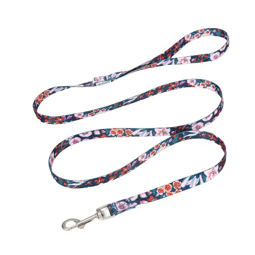 Laisse Chien Motif Assortie Harnais Résistante