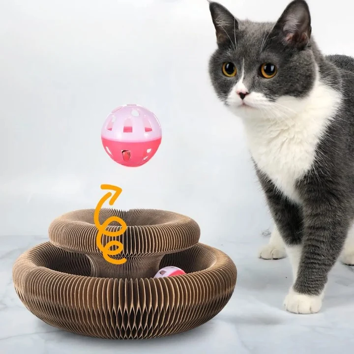 Jouet griffoir pour chat en carton - Organ Toy