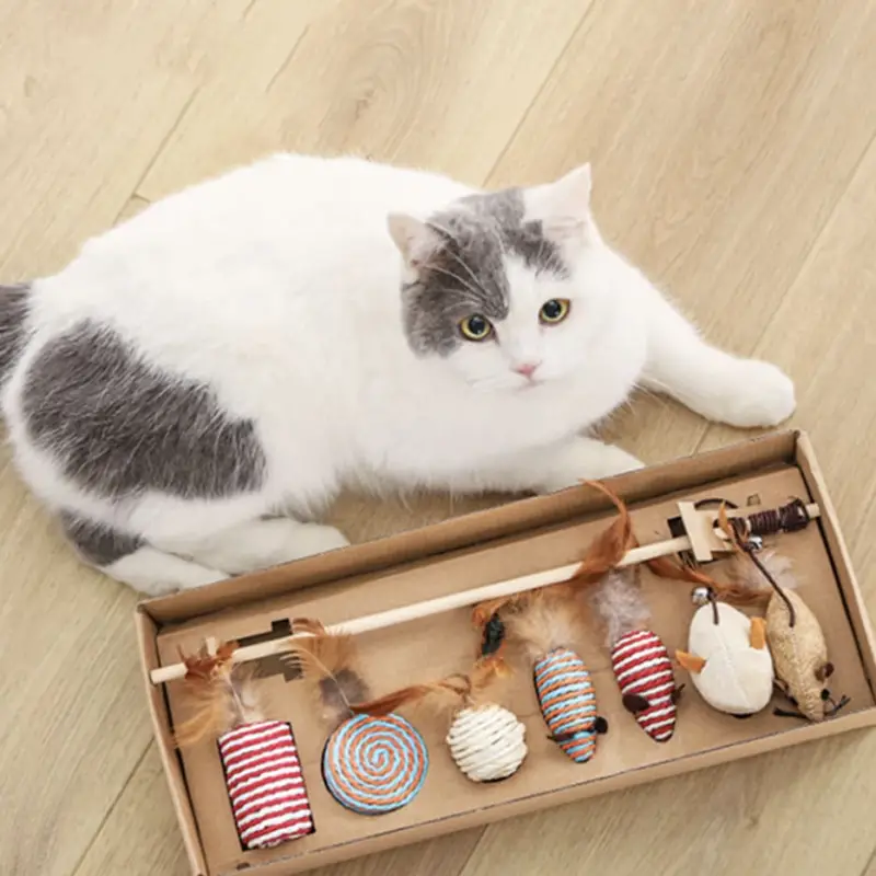Canne à Pêche Chat Kit 7 Jouets Interactifs