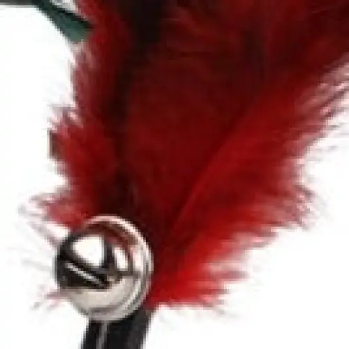 Bâton Plumes Chat Interactif avec Ventouse
