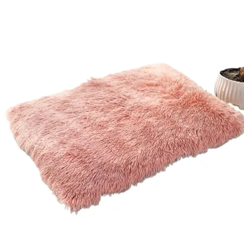 Tapis d’Hiver pour Chien
