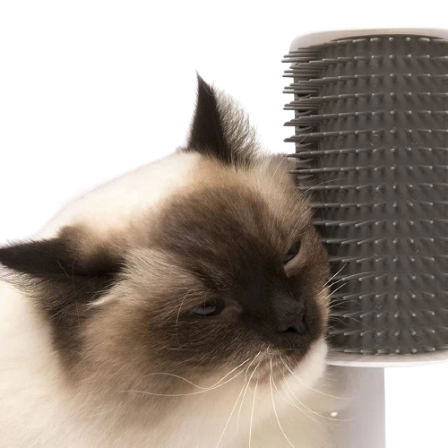 Brosse à Gratter Murale pour Chat et Chien
