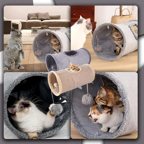 Tunnel pour chat - PurrPath