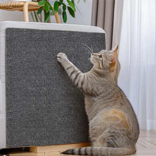 Griffoir pour chat - Autocollant