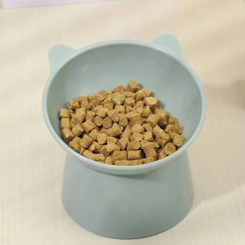 Gamelle chat surélevée - Cat Feeder Bowl