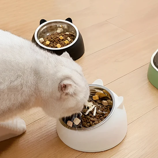 Gamelle pour chat - En inox Inclinée