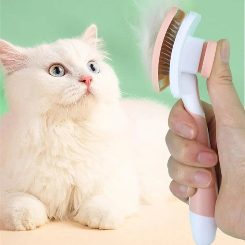 Brosse pour chat - Démêlante