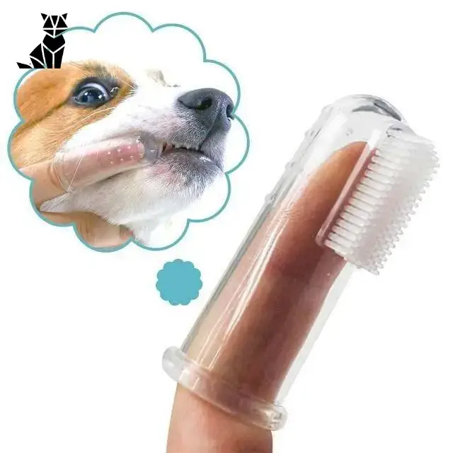 Brosse à Dents Doigt Chien Chat Hygiène Dentaire