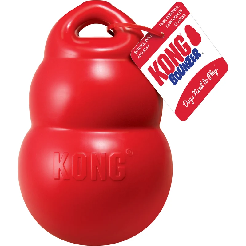 Hundespielzeug KONG® Bounzer™