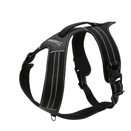 Harnais Petit Chien Anti-traction Rembourré Nylon