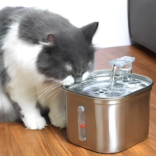 FONTAINE À EAU POUR CHAT - AVEC CAPTEUR (2L)
