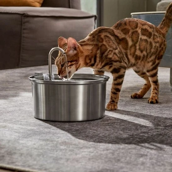 FONTAINE A EAU CHAT- AUTOMATIQUE EN ACIER (3L)