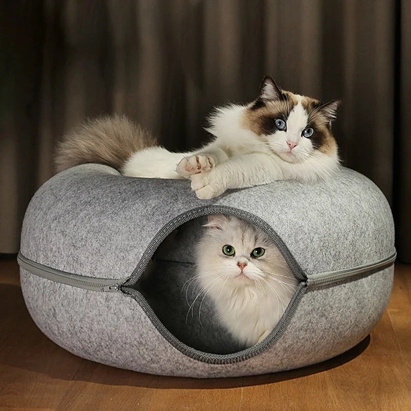 Panier pour chat design - Multifonctions