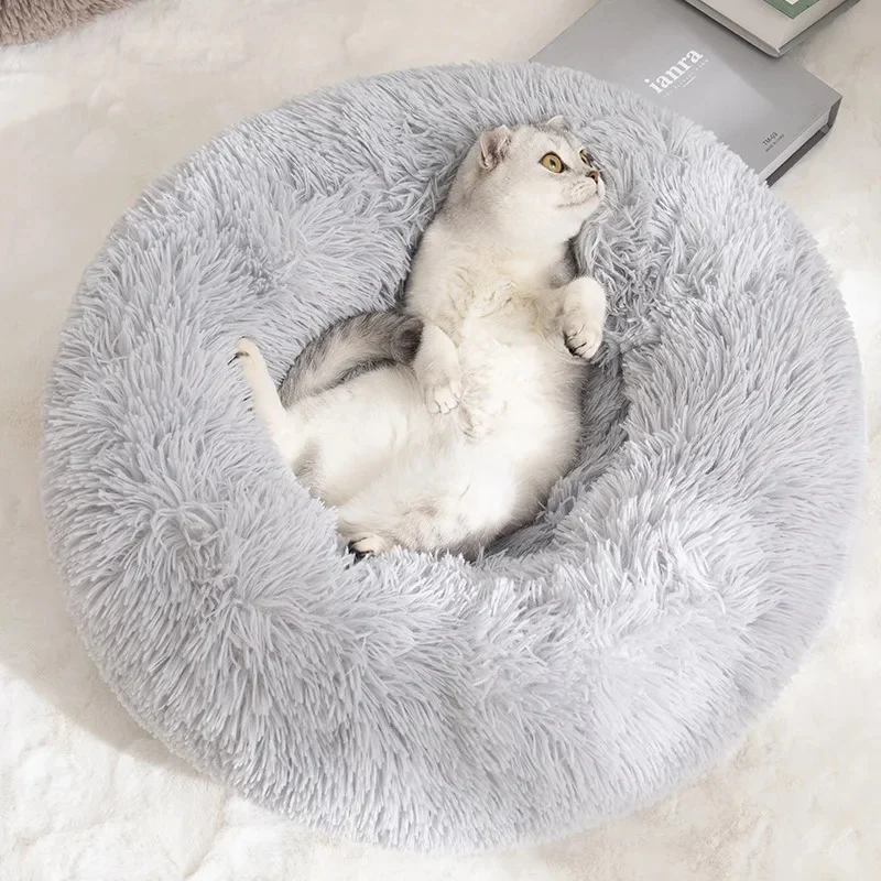 Coussin pour chat antistress