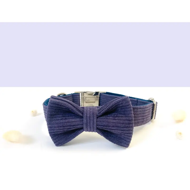 Noeud Papillon Velours Chien Élégant