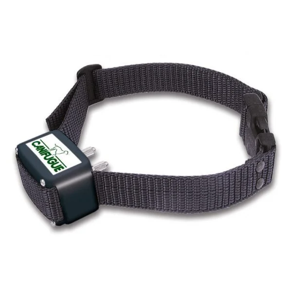 Collier anti-fugue Canifugue (ancien modèle) chien