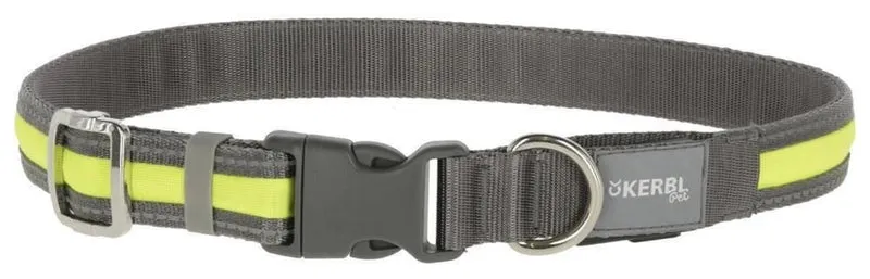 Collier light et reflex chien
