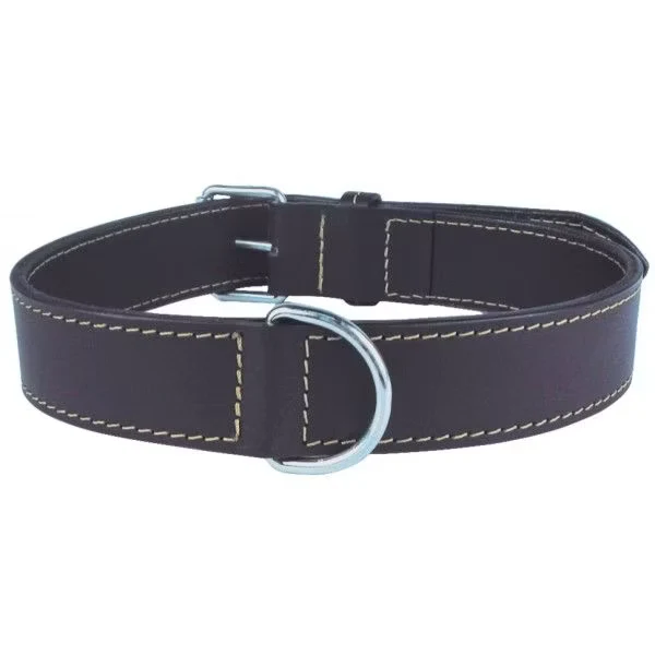 Collier cuir double noir chien