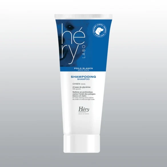 Shampoing chien héry poils blanc