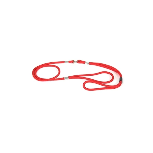 Laisse pour chien nylon Present