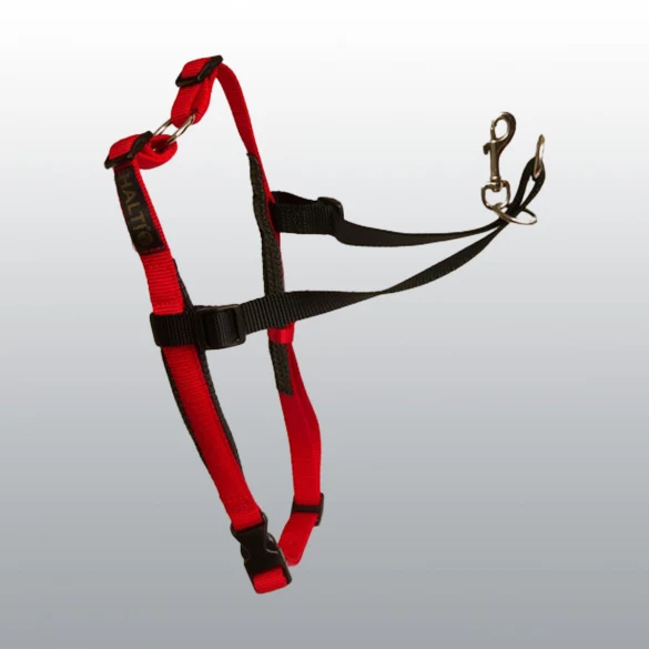 Harnais d'éducation Halti rouge et noir pour chien