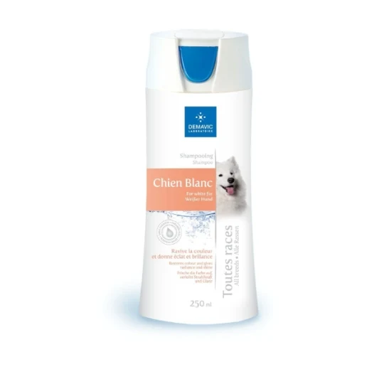 Shampoing chien