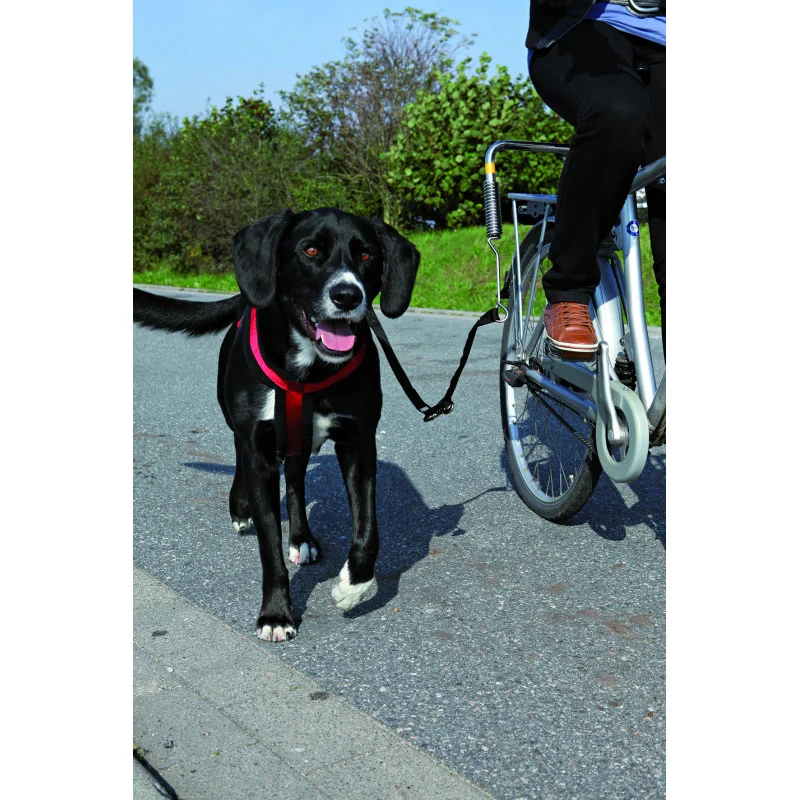 Set d'attache velo pour chien