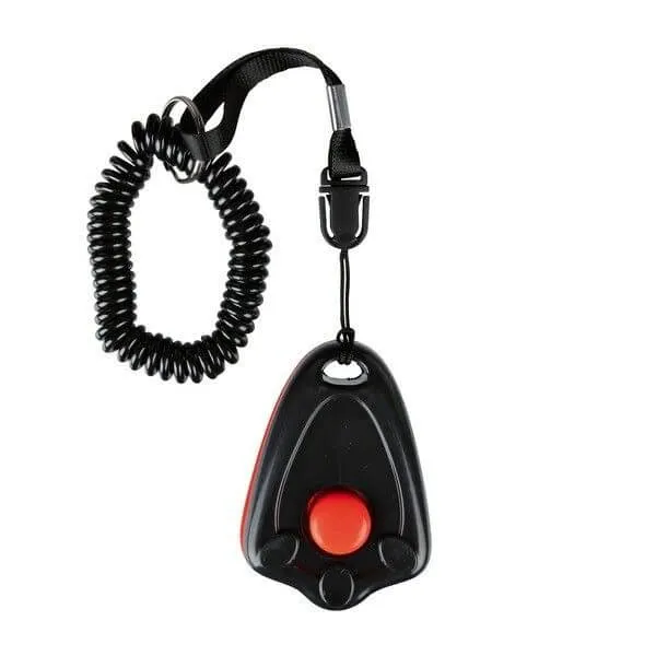 CLICKER EDUCATION