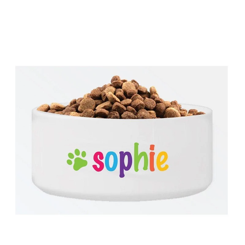 Bright Classic Personalized Large Dog Bowl